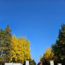 차다목장 이미지