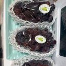 해찬농장 이미지