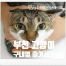 중동우리아이동물병원 이미지