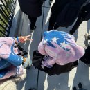 텔레이온 | Under cover 神戸2日目