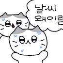 소담김밥 - 금천구 시흥대로 238 | 소담김밥