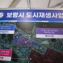 보령 만나