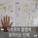 동시가 되는 그림책 놀이 | 무브무브 플랩북 움직이는 인체 솔직 후기｜아이 호기심 터지는 인체 그림책 추천