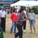 안정초등학교 이미지