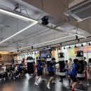 세계복싱클럽 이미지