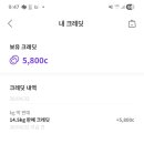 소소한옷장 - 29646 | 소소한옷장