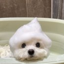 헤어바이헤라 | 💚1년동안 올리브영에 360만원 쓴 사람의 3월 세일 추천템 - 스킨케어편