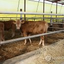 봉산리경로당 이미지