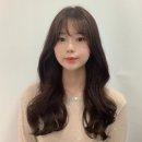 다솜헤어 이미지