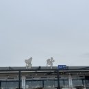 [제주] 회국수, 성게국수 유명한 곰막식당