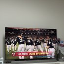 트윈스 | 2025 엘지 트윈스 우승 세리머니 후기