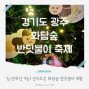 2025 화담숲 반딧불이 준비물 주차 정보 아이와 다녀온 후기