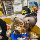편백향기