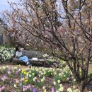 제주도건강랜드 | 역대급 한가했던 주말 에버랜드 with가든패스