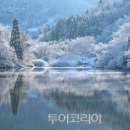 재미재미투어