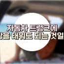 사람과자동차 이미지