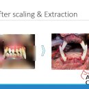 관저종합동물병원 이미지