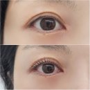 춘천 온의동 속눈썹펌 잘하는곳 아이티나뷰티 케라틴 영양펌 C컬 후기