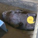 신당헬스클럽 | 5,6월 먹거리 놀거리 (이가네 리텐션 최상위)