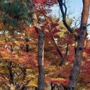 창덕궁과 창경궁, 그리고 북촌 이미지