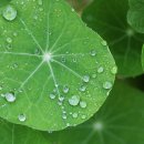 해피케어 이미지