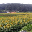 예덕2리 경로당 이미지