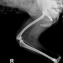 모모동물병원 이미지