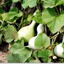 이종태농장 이미지