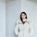 꼼빠니아 티스토리