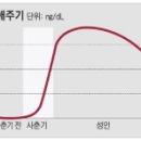 핫 이슈-- 남성 호르몬 / 회춘의 묘약 이미지