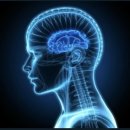 화정탑한의원 이미지