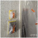 태영으뜸아파트 | 무늬코트 페인트 보수 작업 (안양 호계동 무궁화 태영 아파트)