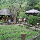 하이디 하우스 이미지