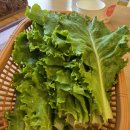 우렁이박사 | 당진 최고맛집 우렁이박사 후기 우렁이쌈밥