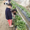 해달별유치원 이미지