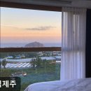 토평로 | 제주, 서귀포, 숙소 브로딕제주 서귀포 브로딕제주, 편안한 쉼을 제공하다