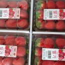 서울양화초등학교 이미지