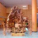 전북산림박물관 이미지