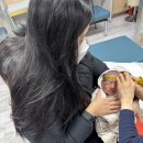 이선호소아청소년과의원 네이버블로그