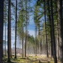 맛있는 세계여행 이미지