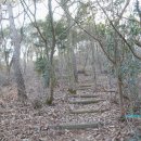 영춘동 티스토리
