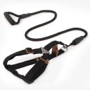 스마트 애견 이미지