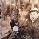 샤로수약국 이미지