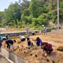 빛가람축산 이미지