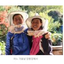 의성대표벌꿀농원