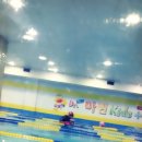 닥터마린키즈수영장 이미지