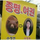 수정집 이미지