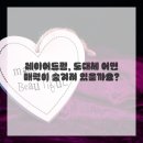 세련머리사랑