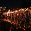 안성면115 이미지