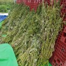 재숙농장 이미지